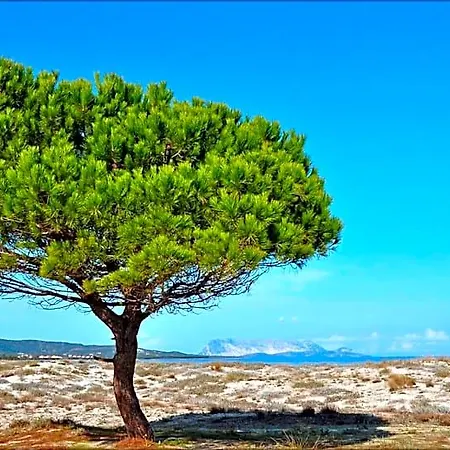 Le Magnolie 4*
